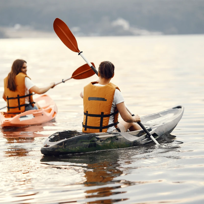 high google rating dandeli resorts