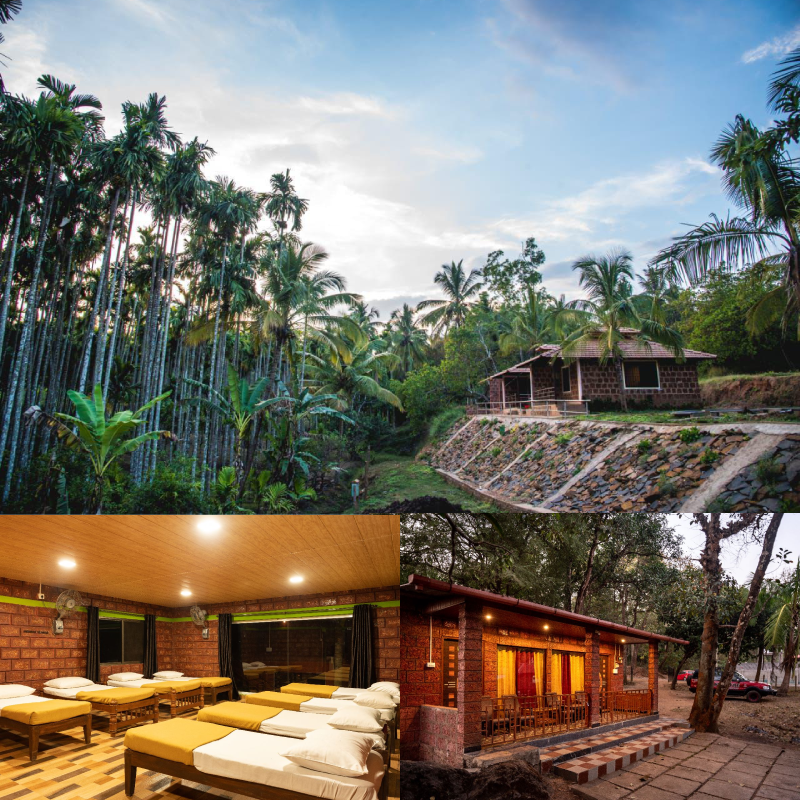 Dandeli Jungle Resort