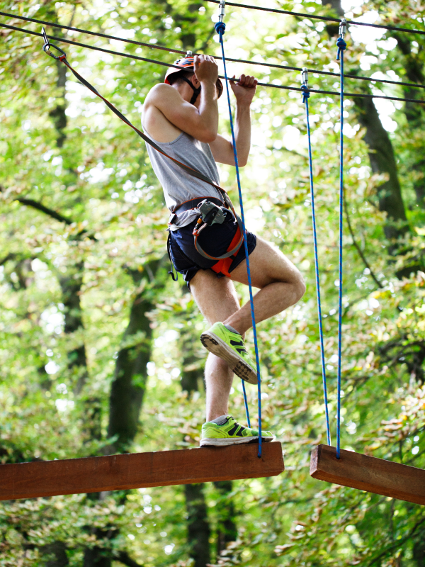 Dandeli Resorts Book