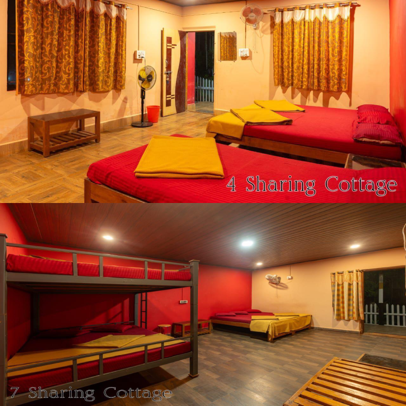 Dandeli Packages with activities
