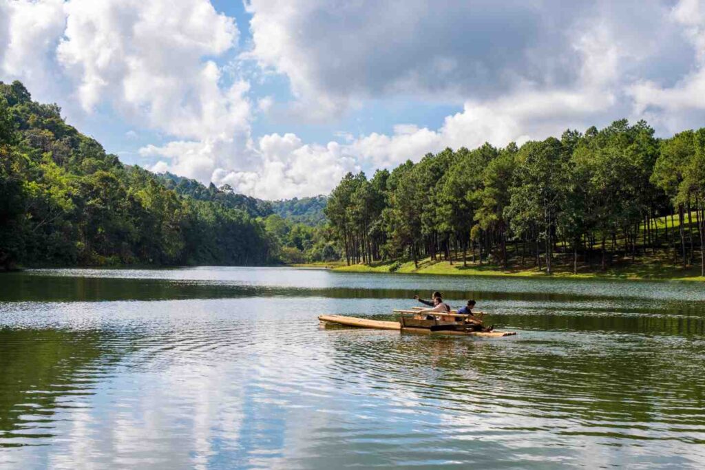 dandeli resort packages